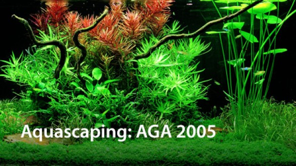 Easy-Life aquascaping AGA - Easy-Life